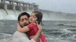 Shubho Bibaho S01 E536 Will Tej and Tori Survive?