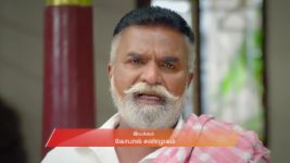 Anna (Tamil) S01 E865 12th January 2026