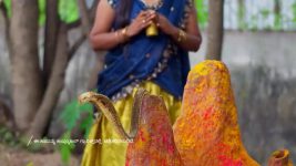 Annapoorna S01 E1052 8th January 2026