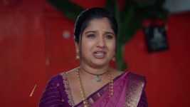 Chamanthi (Zee Telugu) S01 E324 8th January 2026
