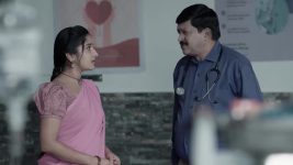 Chamanthi (Zee Telugu) S01 E331 16th January 2026