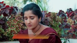 Chamanthi (Zee Telugu) S01 E332 17th January 2026