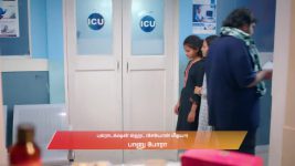 Chinnan Siru Kiliye S01 E119 5th January 2026