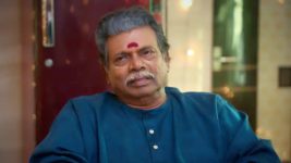 Chinnan Siru Kiliye S01 E135 25th January 2026