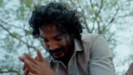 Dheerga Sumangli Bhava (Zee Telugu) S01 E244 15th January 2026