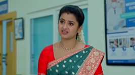 Dheerga Sumangli Bhava (Zee Telugu) S01 E255 28th January 2026