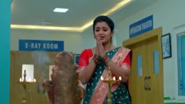 Dheerga Sumangli Bhava (Zee Telugu) S01 E256 29th January 2026