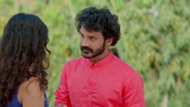 Dheerga Sumangli Bhava (Zee Telugu) S01 E258 31st January 2026