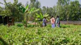 Ennallo Vechina Hrudayam (Zee telugu) S01 E317 31st January 2026