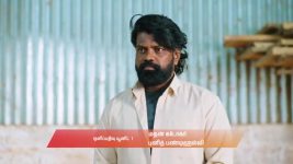 Gattimelam S01 E290 8th January 2026
