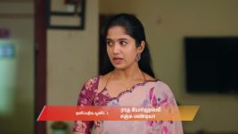 Gattimelam S01 E294 13th January 2026