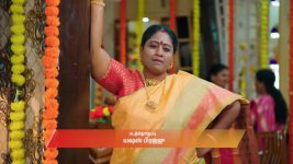 Gattimelam S01 E306 29th January 2026