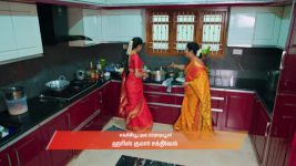 Gattimelam S01 E307 30th January 2026