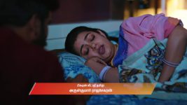 Gattimelam S01 E308 31st January 2026