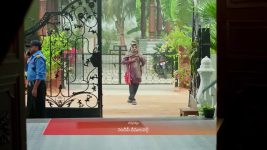 Gharana Mogudu (Zee Telugu) S01 E207 10th January 2026