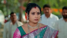 Gharana Mogudu (Zee Telugu) S01 E225 31st January 2026