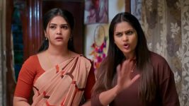 Gunde Ninda Gudi Gantalu S01 E607 Balu Warns Meena