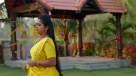 Illu Illalu Pillalu (Star Maa) S01 E378 Prema, Narmada Doubt Srivalli