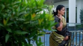 Jagadhatri (zee telugu) S01 E713 19th January 2026
