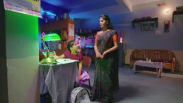 Kalyanamasthu S01 E1216 25th January 2026