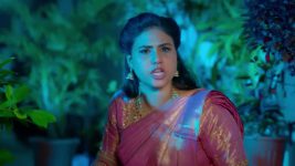 Karthigai Deepam S01 E1097 20th January 2026