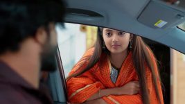 Meghasandesam (Zee Telugu) S01 E517 1st January 2026