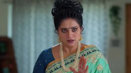 Meghasandesam (Zee Telugu) S01 E525 10th January 2026