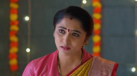 Meghasandesam (Zee Telugu) S01 E533 20th January 2026