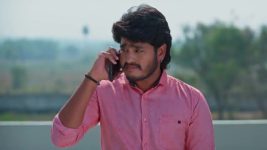 Meghasandesam (Zee Telugu) S01 E534 21st January 2026