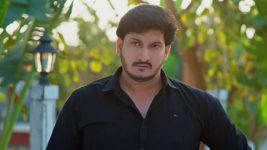 Meghasandesam (Zee Telugu) S01 E536 23rd January 2026