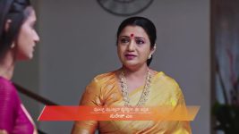 Naa Ninna Bidalaare (Zee Kannada) S01 E245 2nd January 2026