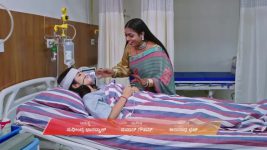 Naa Ninna Bidalaare (Zee Kannada) S01 E262 27th January 2026