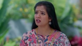 Nindu Manasulu (Star Maa) S01 E167 Shailu, Kumar Are Thankful