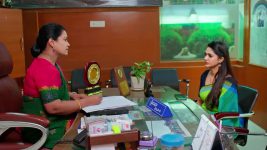 Nindu Noorella Saavasam S01 E785 13th January 2026