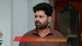 Nindu Noorella Saavasam S01 E789 17th January 2026