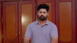 Nindu Noorella Saavasam S01 E797 28th January 2026
