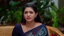 Nindu Noorella Saavasam S01 E798 29th January 2026