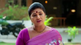 Nindu Noorella Saavasam S01 E799 30th January 2026