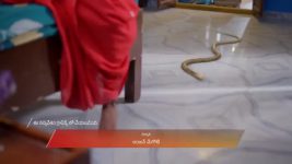 Padamati Sandhyaragam S01 E1057 3rd January 2026