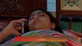 Padamati Sandhyaragam S01 E1069 17th January 2026