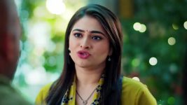 Pinga Ga Pori Pinga S01 E405 Vallari to Resolve the Issue!