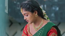 Salangai Oli (Zee Tamil) S01 E246 3rd January 2026
