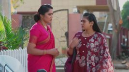 Salangai Oli (Zee Tamil) S01 E254 8th January 2026