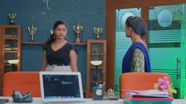 Salangai Oli (Zee Tamil) S01 E260 12th January 2026
