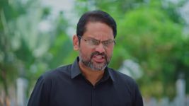 Salangai Oli (Zee Tamil) S01 E262 13th January 2026