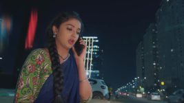 Salangai Oli (Zee Tamil) S01 E265 14th January 2026