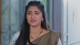 Salangai Oli (Zee Tamil) S01 E268 19th January 2026