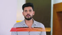 Shravani Subramanya S01 E493 5th January 2026