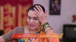 Shravani Subramanya S01 E511 29th January 2026