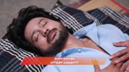 Varisu (Zee Tamil) S01 E169 13th January 2026